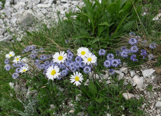 Od Zelenice proti Srednji peči  27.5.2018 - foto