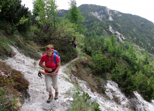 Od Zelenice proti Srednji peči  27.5.2018 - foto