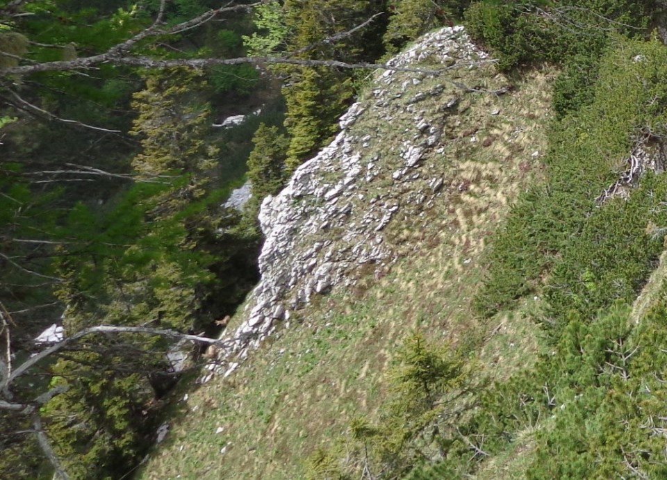 Od Zelenice proti Srednji peči  27.5.2018 - foto povečava