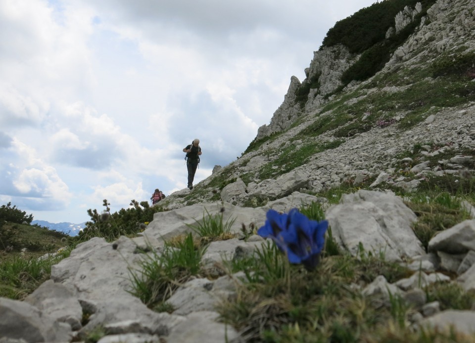 Kačji rob - 03.06.2018 - foto povečava