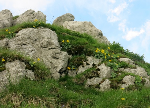 Kačji rob - 03.06.2018 - foto