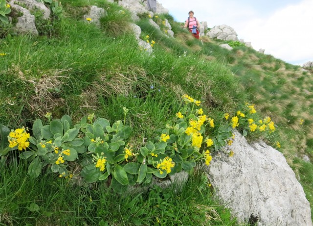 Kačji rob - 03.06.2018 - foto