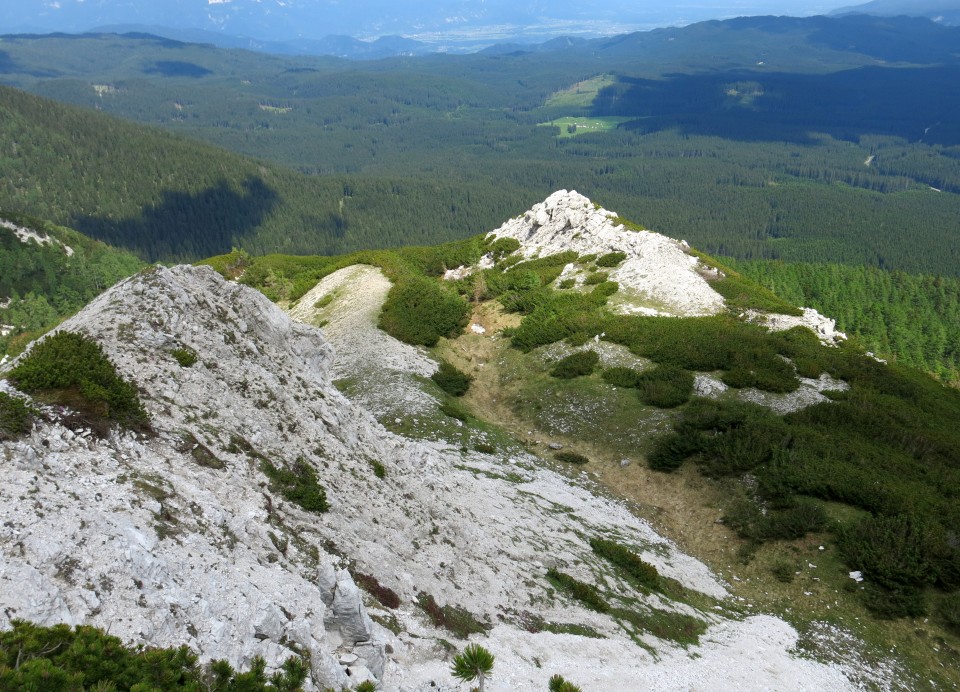 Kačji rob - 03.06.2018 - foto povečava