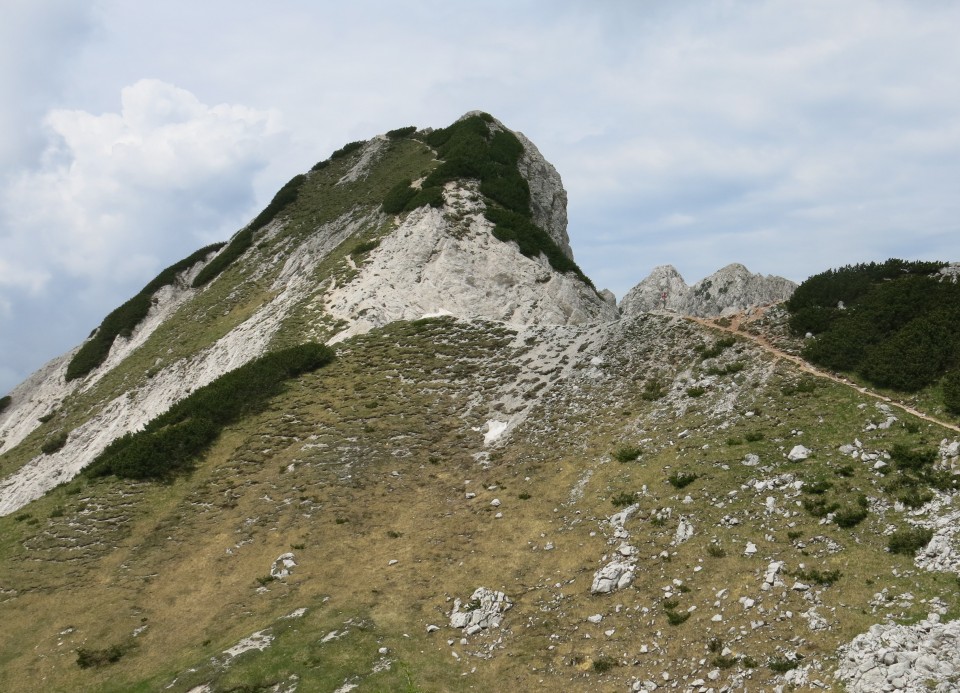 Ledine do sedla - 07.06.2018 - foto povečava