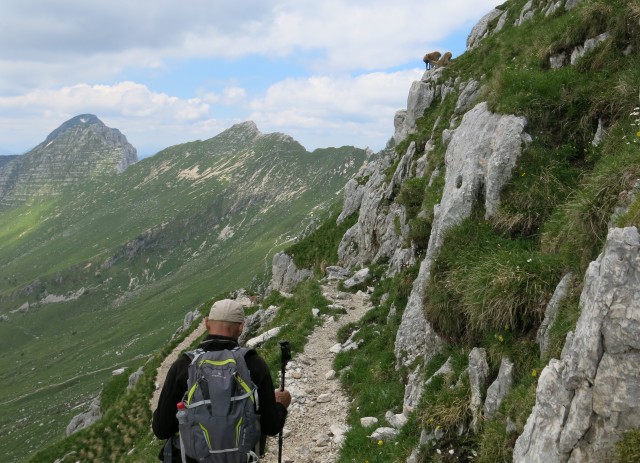 Spik hude police  16.06.2018 - foto