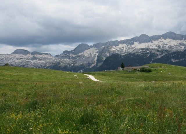 Spik hude police  16.06.2018 - foto