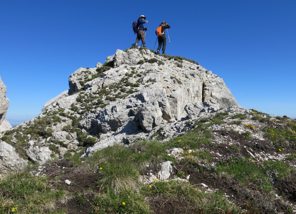 Skala in Male špice  19.06.2018 - foto povečava