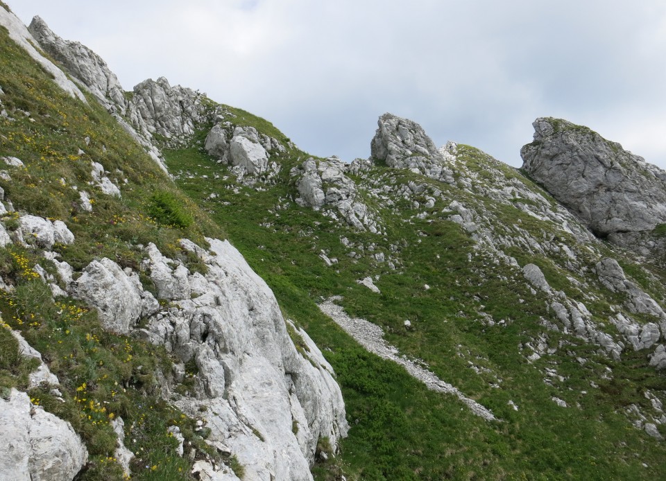 Skala in Male špice  19.06.2018 - foto povečava