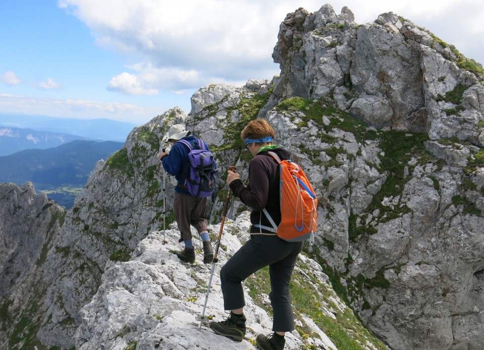 Skala in Male špice  19.06.2018 - foto povečava