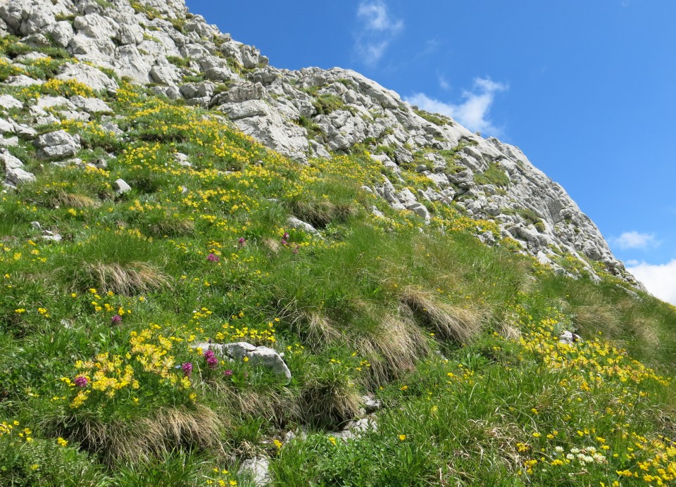 Skala in Male špice  19.06.2018 - foto povečava