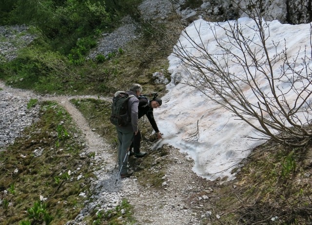 Ledinski vrh + Storžek  23.06.2018 - foto