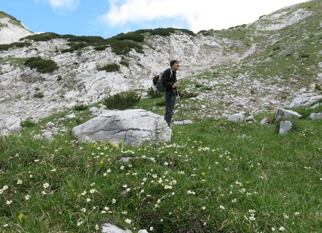 Ledinski vrh + Storžek  23.06.2018 - foto