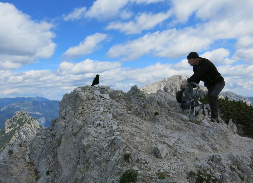 Ledinski vrh + Storžek  23.06.2018 - foto povečava