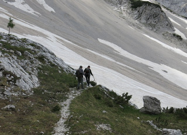 Ledinski vrh + Storžek  23.06.2018 - foto