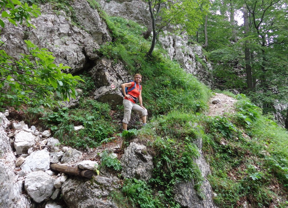 Čez Dolge stene  01.07. 2018 - foto povečava