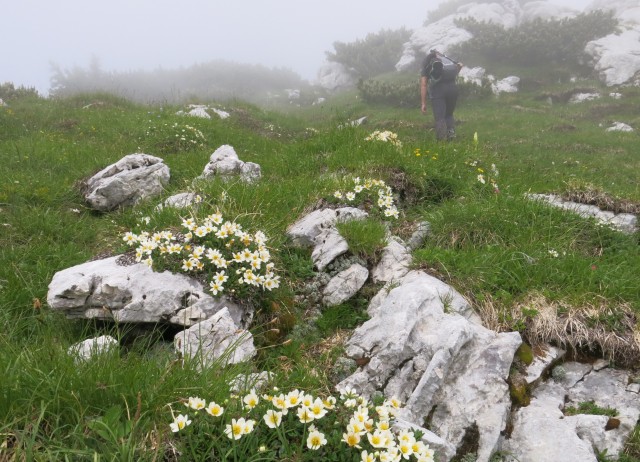 Čez Dolge stene  01.07. 2018 - foto