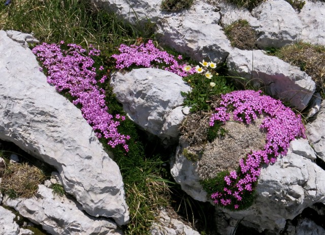 Čez Dolge stene  01.07. 2018 - foto