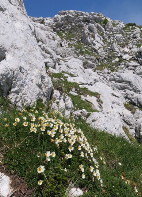 Čez Dolge stene  01.07. 2018 - foto