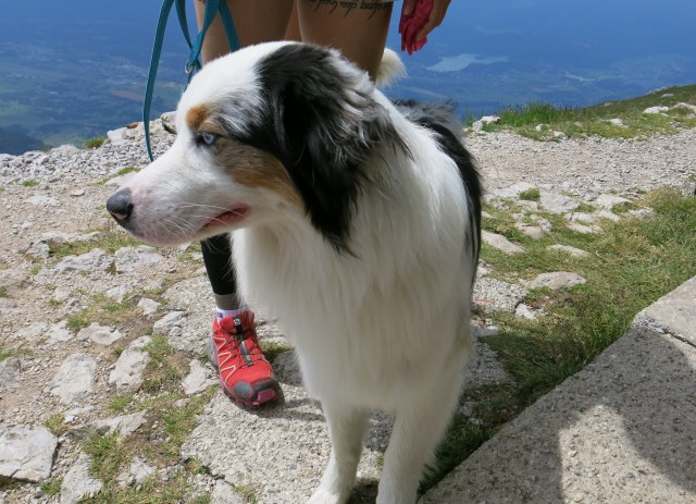 Stol  08.07.2018 - foto