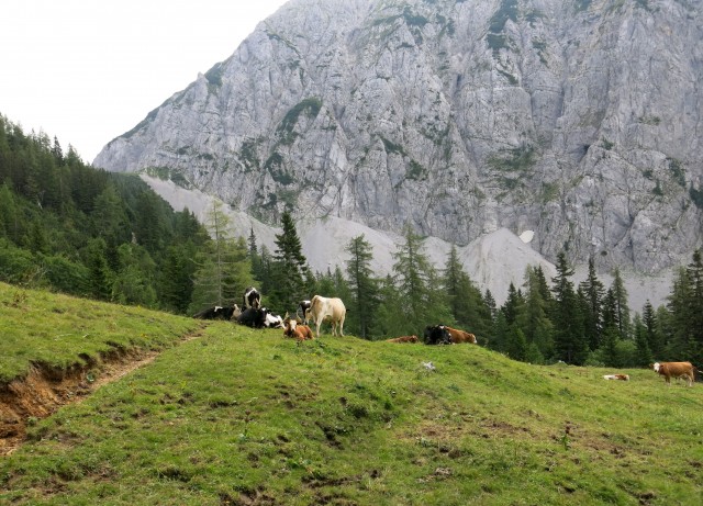 Ljubeljska Baba  21.07.2018 - foto