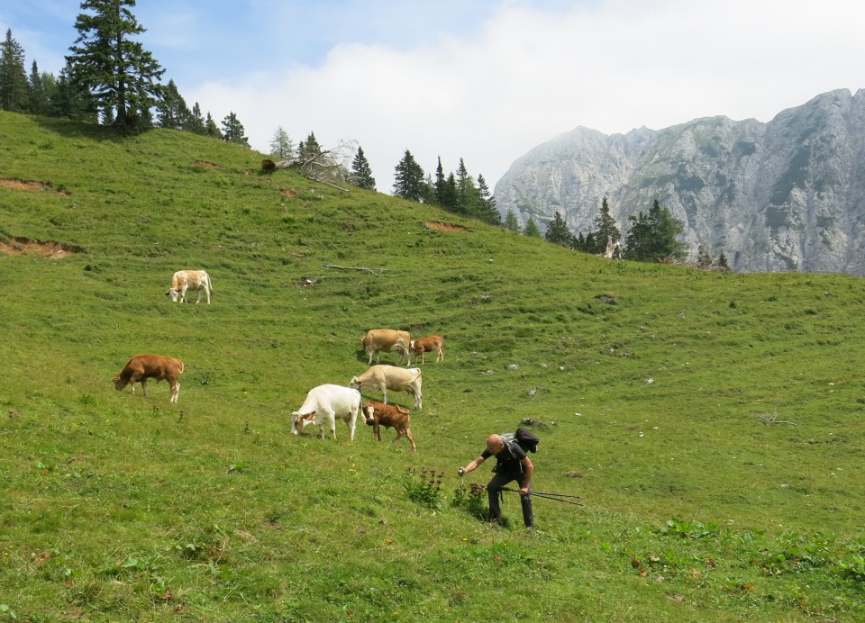 Ljubeljska Baba  21.07.2018 - foto povečava