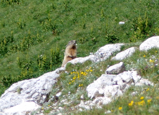 Po poti Leva ... 25.07.2018 - foto