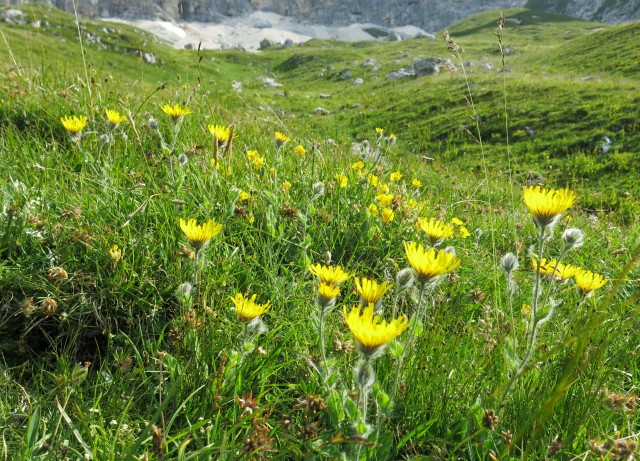 Po poti Leva ... 25.07.2018 - foto