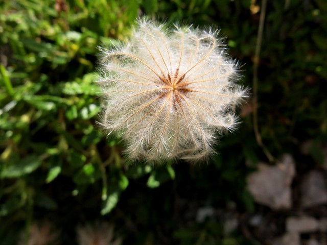 Iz Krnice proti Špiku  04.08.2018 - foto