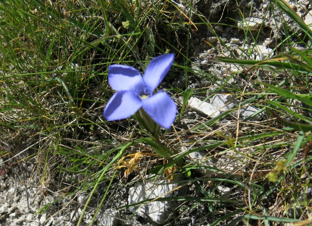 Iz Krnice proti Špiku  04.08.2018 - foto