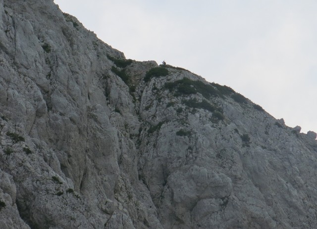 S Silvo v Suho rušje   27.08.2018 - foto