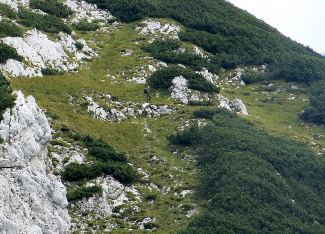 S Silvo v Suho rušje   27.08.2018 - foto