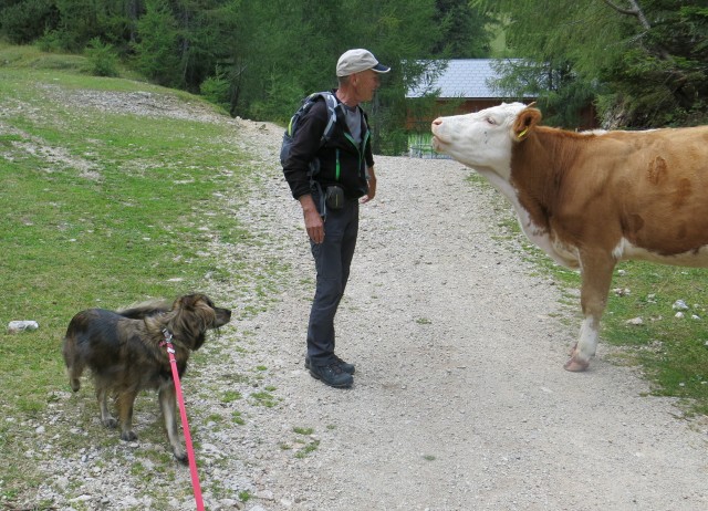 S Silvo v Suho rušje   27.08.2018 - foto