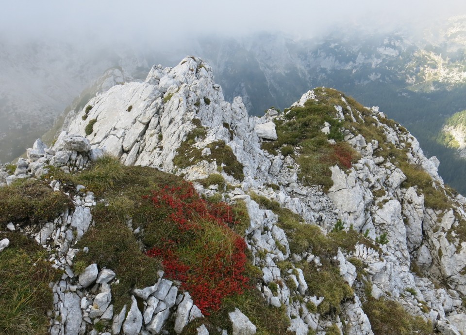 MDV 18.09.2018 - foto povečava