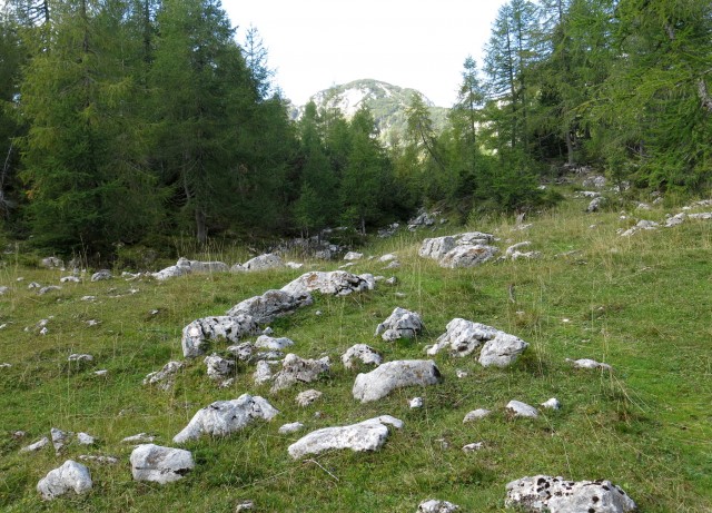 Blejska + jurčki 21.09.2018 - foto
