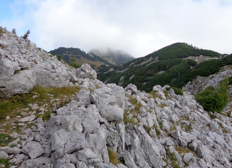 Blejska + jurčki 21.09.2018 - foto povečava