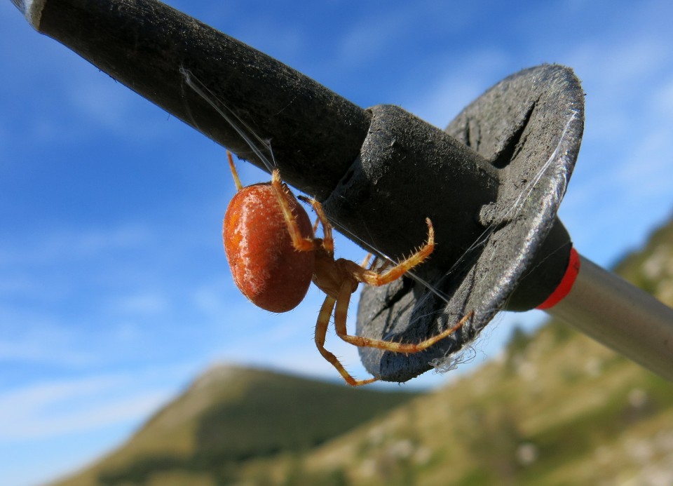 Kiza + Žuti kuk,  sept. 2018 - foto povečava