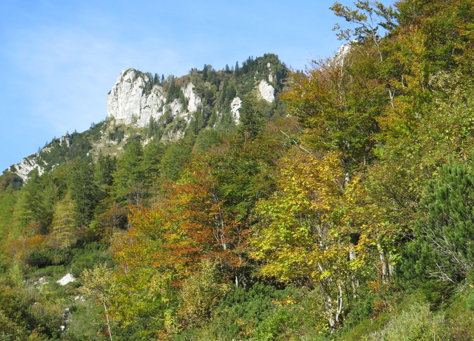 Zelenica  03.10.2018 - foto povečava