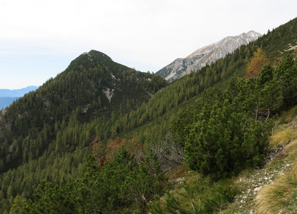 Zelenica  03.10.2018 - foto povečava