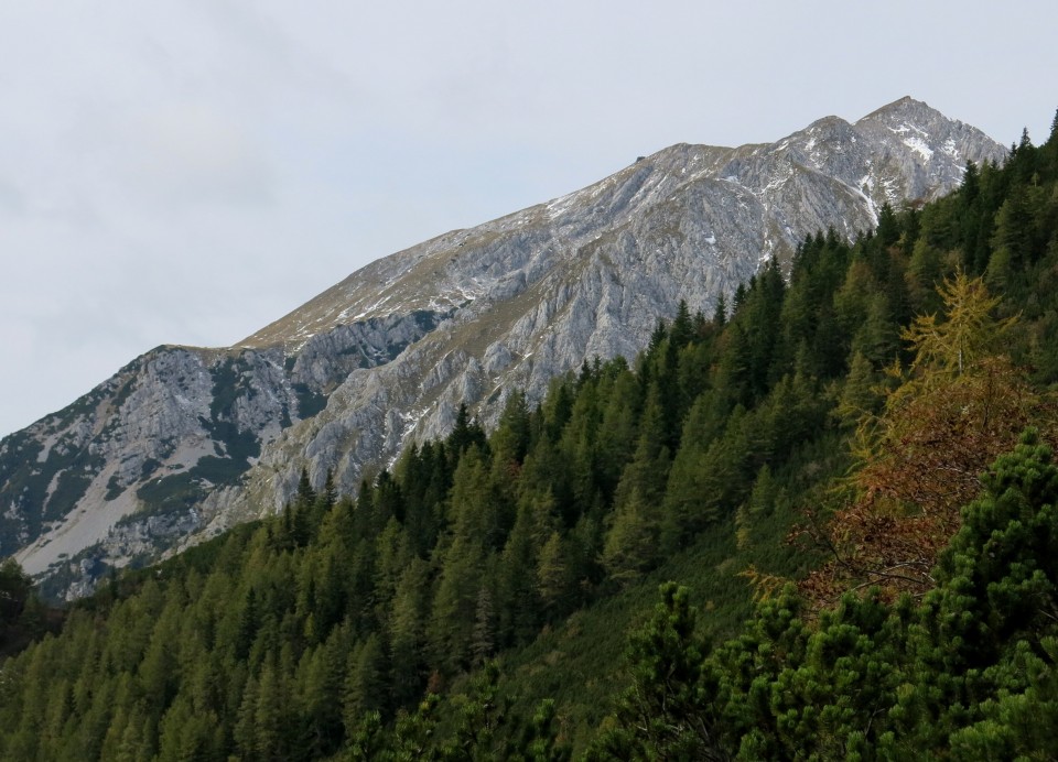 Zelenica  03.10.2018 - foto povečava