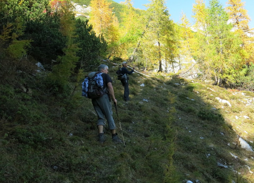 Krstenica + Ogradi malo drugače  13.10.2018 - foto povečava