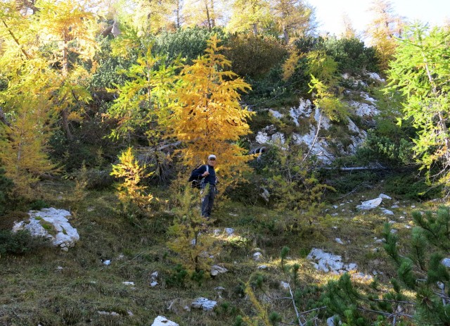 Krstenica + Ogradi malo drugače  13.10.2018 - foto