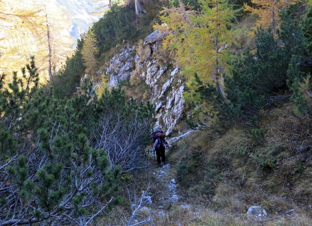 Krstenica + Ogradi malo drugače  13.10.2018 - foto