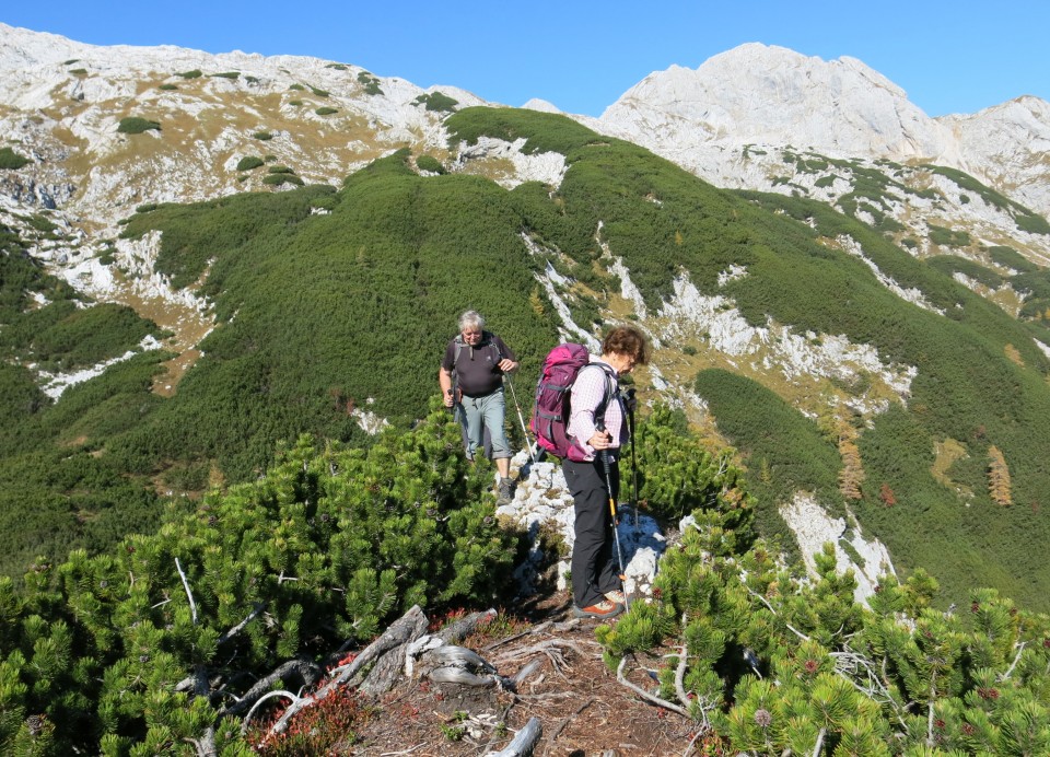 Krstenica + Ogradi malo drugače  13.10.2018 - foto povečava