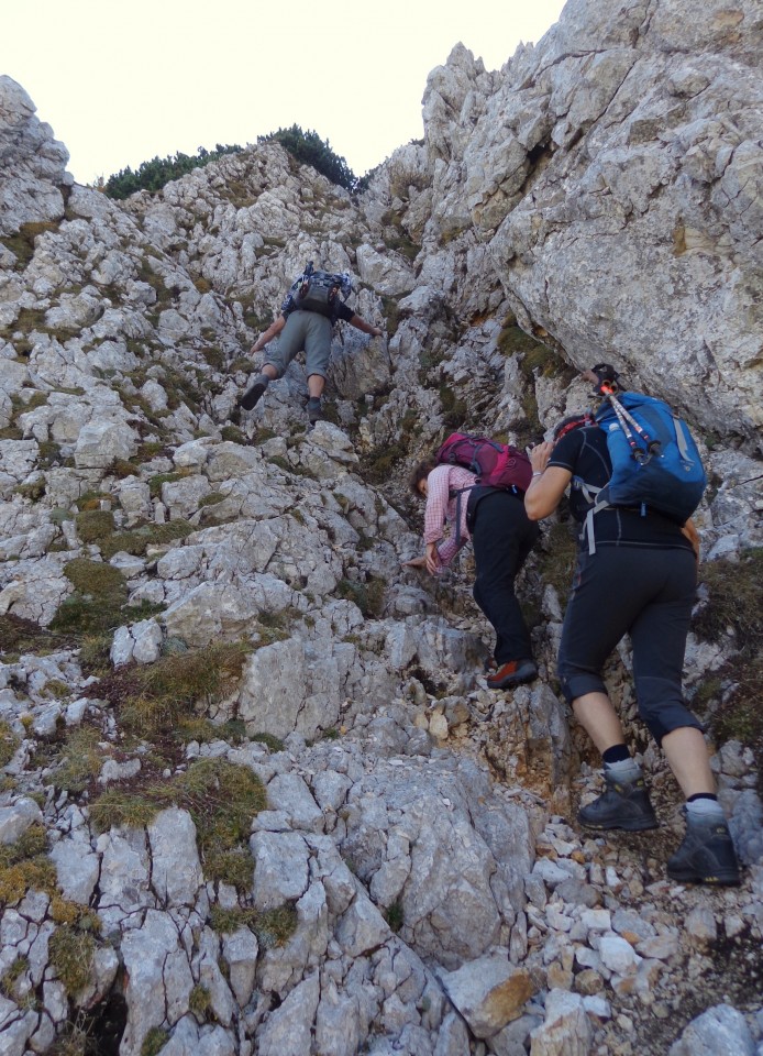 Krstenica + Ogradi malo drugače  13.10.2018 - foto povečava