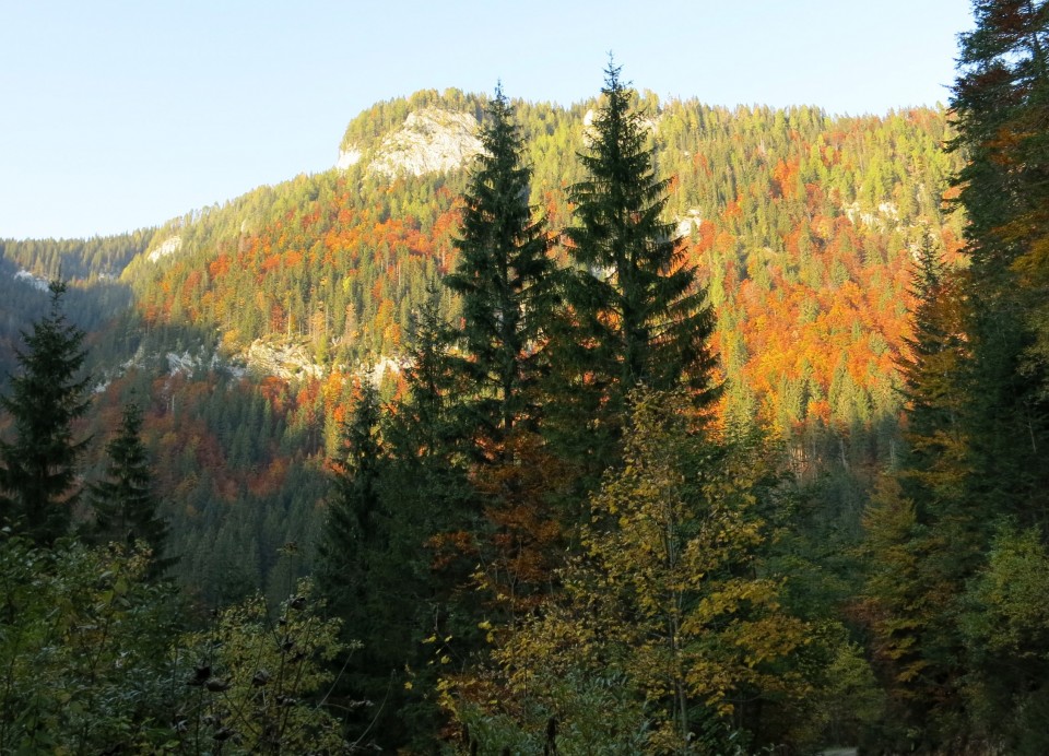 Krstenica + Ogradi malo drugače  13.10.2018 - foto povečava