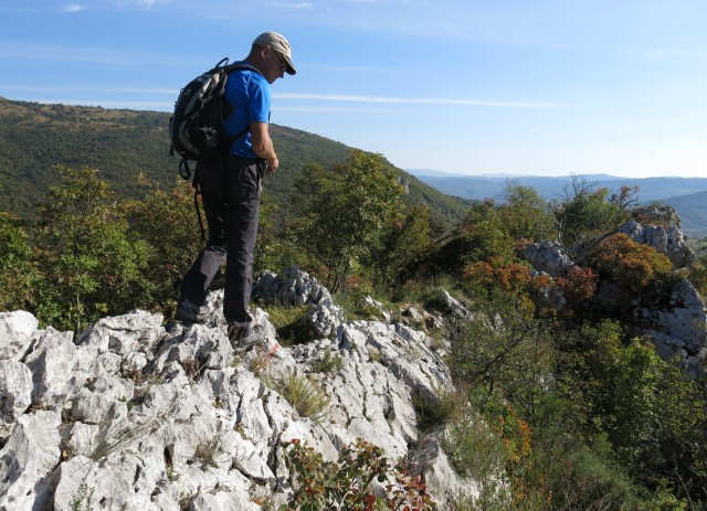 Osp + kraški rob z zinko  23.10 2018 - foto