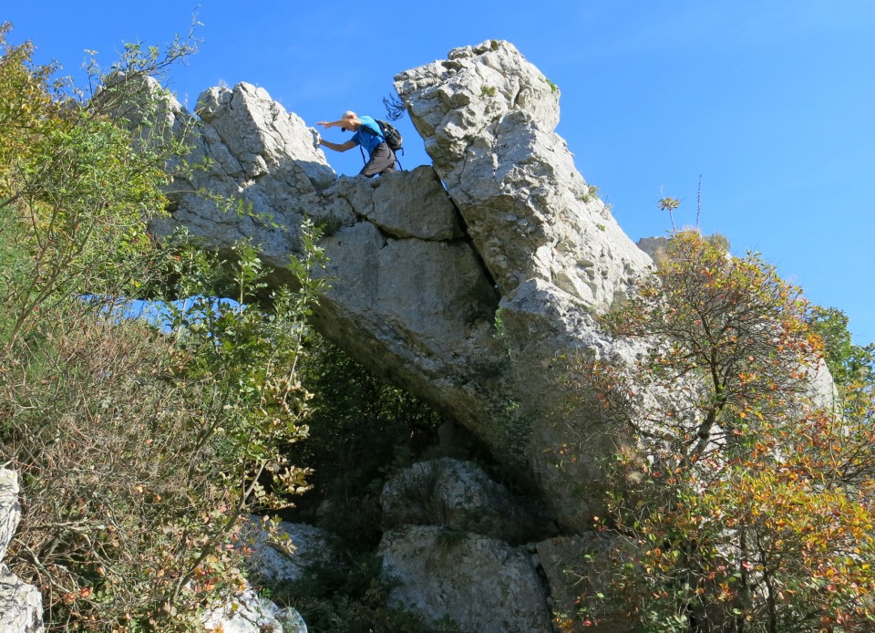 Osp + kraški rob z zinko  23.10 2018 - foto povečava