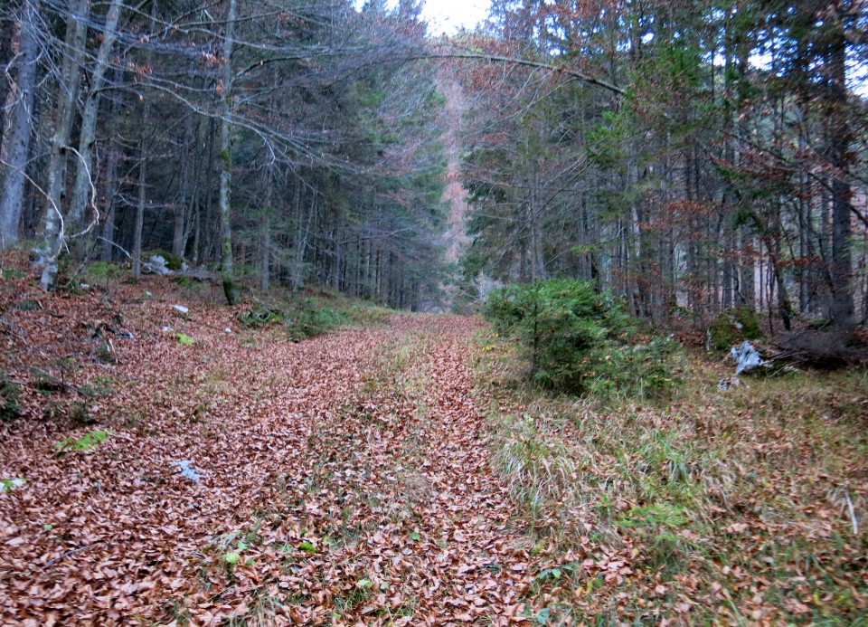 PP Planica - Tamar  24.10.2018 - foto povečava