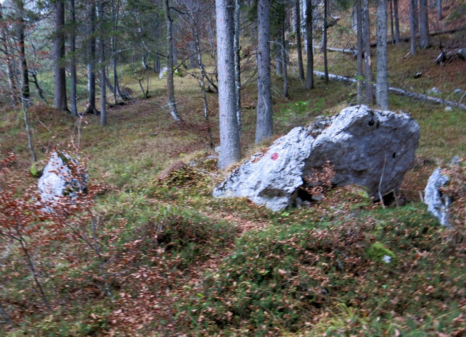 PP Planica - Tamar  24.10.2018 - foto povečava