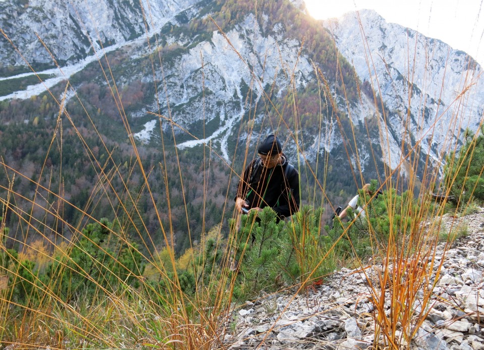 PP Planica - Tamar  24.10.2018 - foto povečava